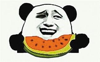 娱乐吃瓜君爆料遛鸟,遛鸟背后的明星趣事大揭秘