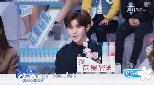 娱乐吃瓜酱少爷免费阅读,免费阅读背后的精彩故事