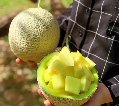 娱乐吃瓜中,揭秘明星幕后故事，吃瓜群众狂欢时刻