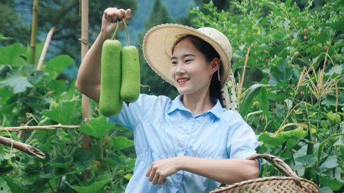 娱乐吃瓜酱老伞,揭秘老伞背后的故事与传奇