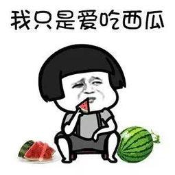 吃瓜看八卦娱乐,揭秘明星幕后故事与热点八卦